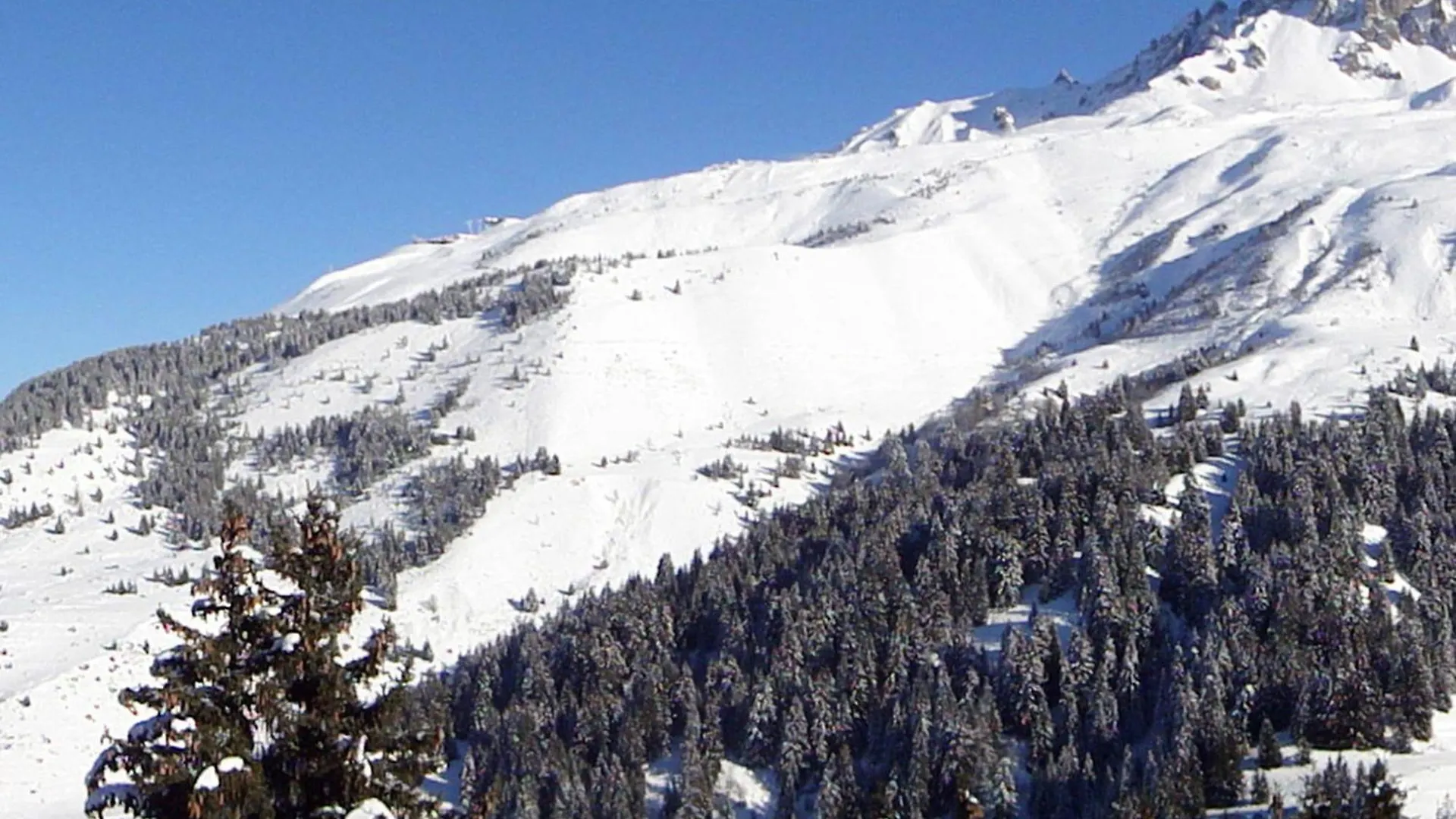 Apartment Appartement Confortable 6 Pers, Pres Des Pistes, 2 Chambres + Couchages, Animaux Acceptes - Fr-1-182-95 Meribel